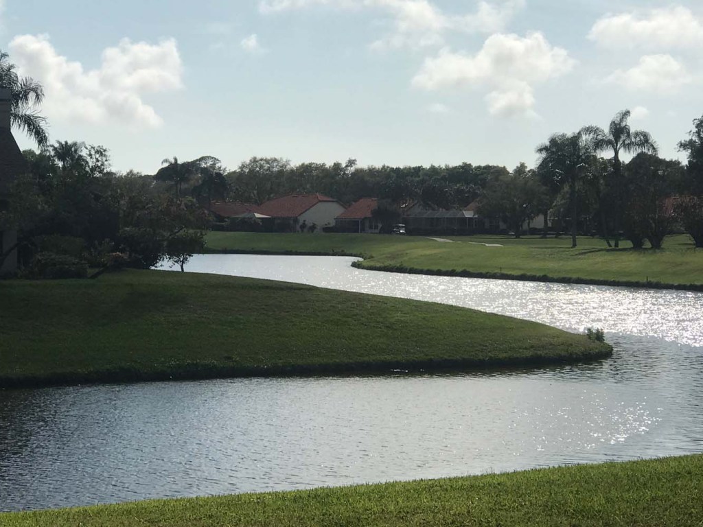 Pond on golf course